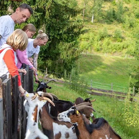 Sommerfrische By Interhome Apartmán Pfarrwerfen